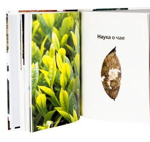 География китайского чая. Сергей Шевелев. Издание второе, дополненное.